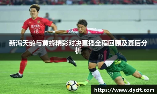 新泻天鹅与黄蜂精彩对决直播全程回顾及赛后分析